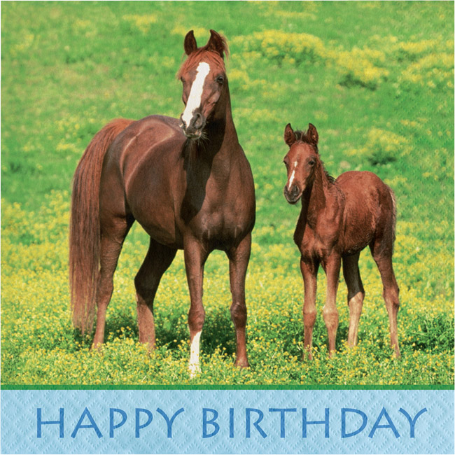 Wild Horses Happy Birthday Lunch Napkins Party At Lewis Elegant