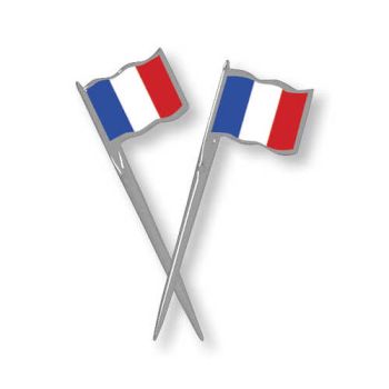 French Flag Picks: Party at Lewis Elegant Party Supplies, Plastic ...