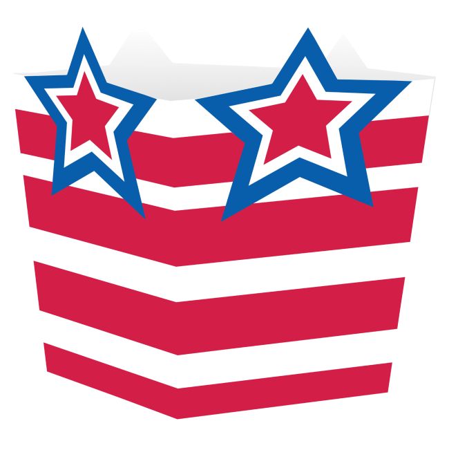 Patriotic Stars Treat Boxes: Party at Lewis Elegant Party Supplies ...