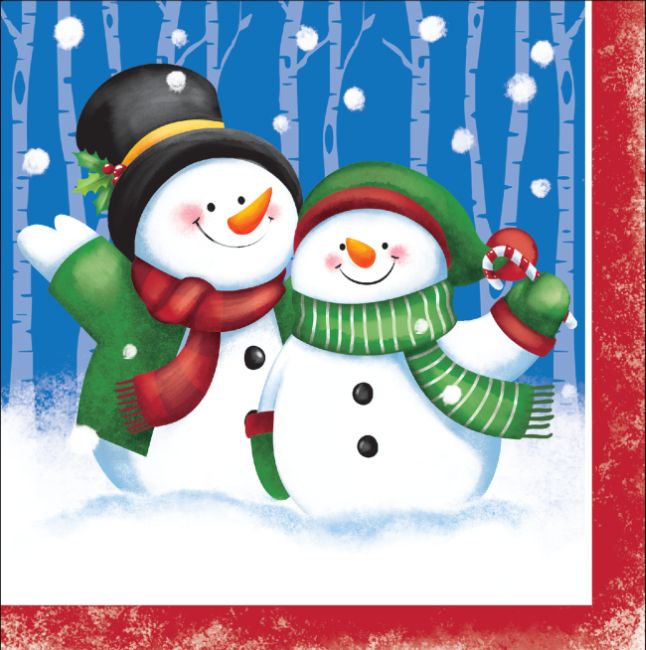 Snow Day Lunch Napkins: Party at Lewis Elegant Party Supplies, Plastic ...