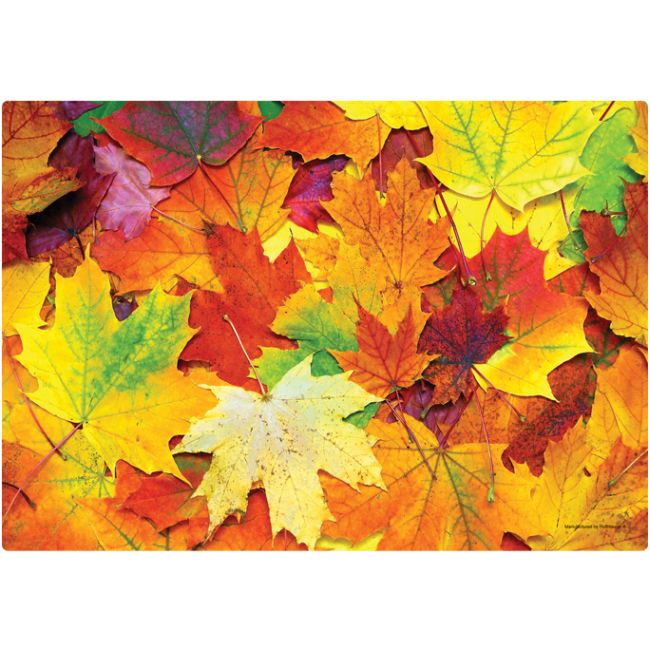 Autumn Days Paper Placemats #4: Party at Lewis Elegant Party Supplies ...