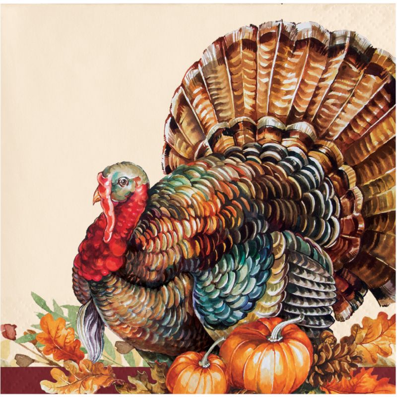 Autumn Turkey Beverage Napkins: Party at Lewis Elegant Party Supplies ...